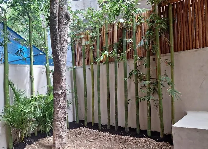 Paraiso Aldea Zama Apartment